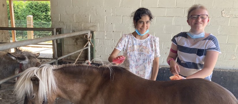 Zwei Mädchen striegeln ein Pferd