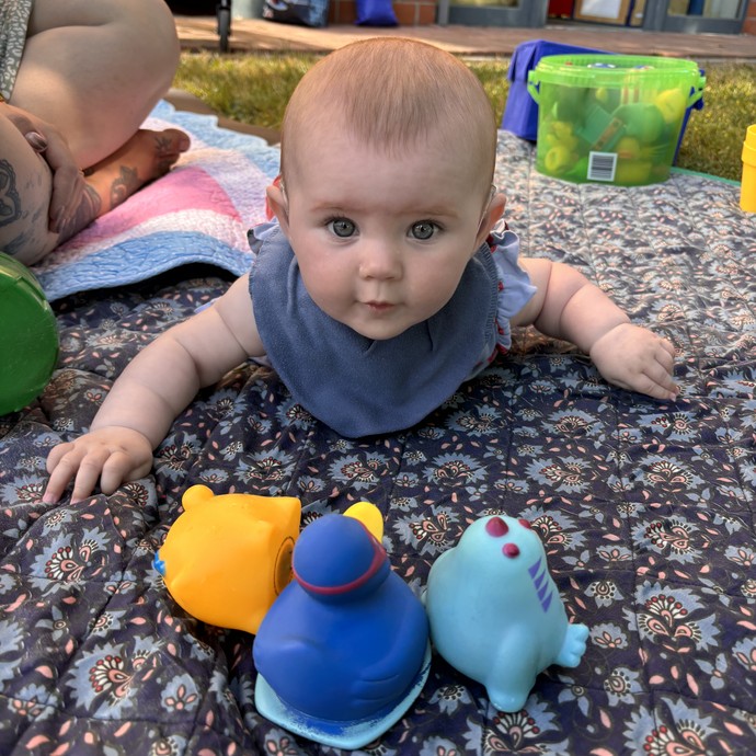 None (vergrößerte Bildansicht wird geöffnet)