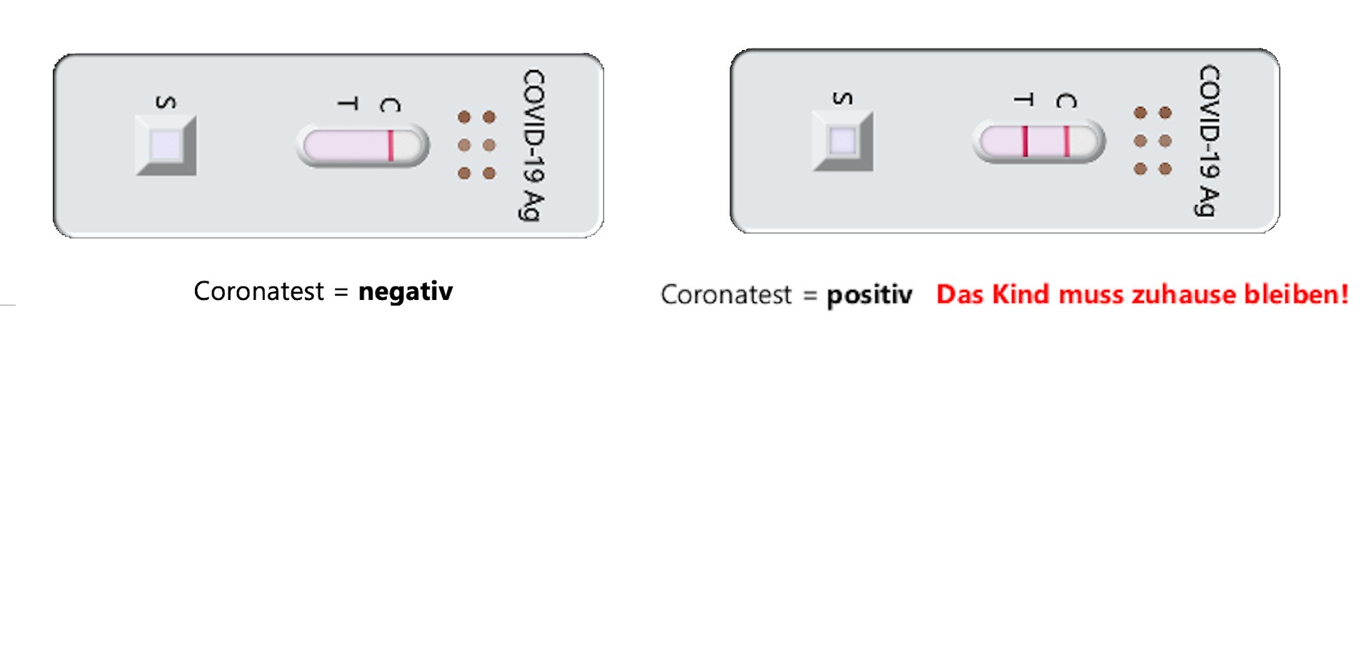 Negativer Coronatest mit einer Testlinie und positiver Coronatest mit zwei Testlinien