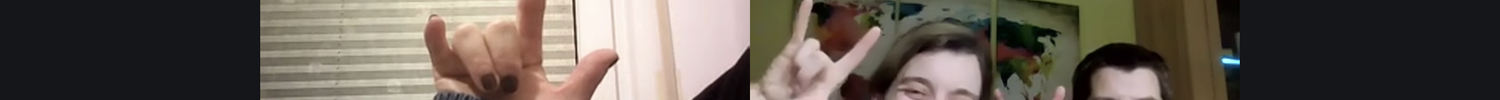 Screenshot Videokonferenz Hausgebärdensprachkurs